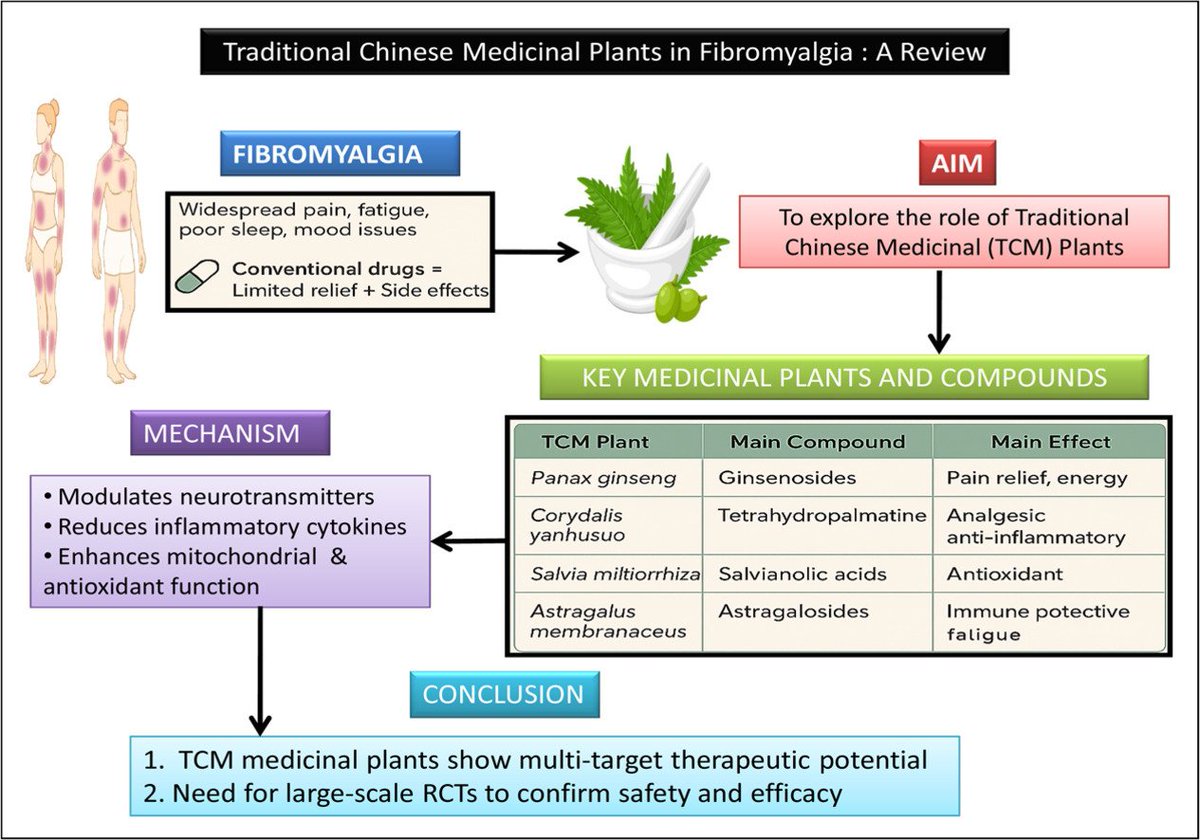 heniek_htw's tweet image. The Role of Traditional Chinese Medicinal #Plants in the Management of #Fibromyalgia: A Review
sciencedirect.com/science/articl…