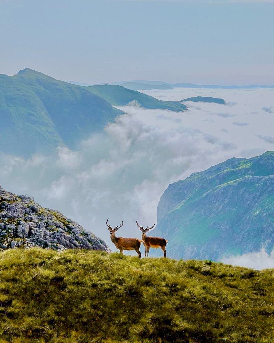 The glorious magnificence of Glencoe, Scotland 🏴󠁧󠁢󠁳󠁣󠁴󠁿

Photo credit: Pete Elliott Photography.