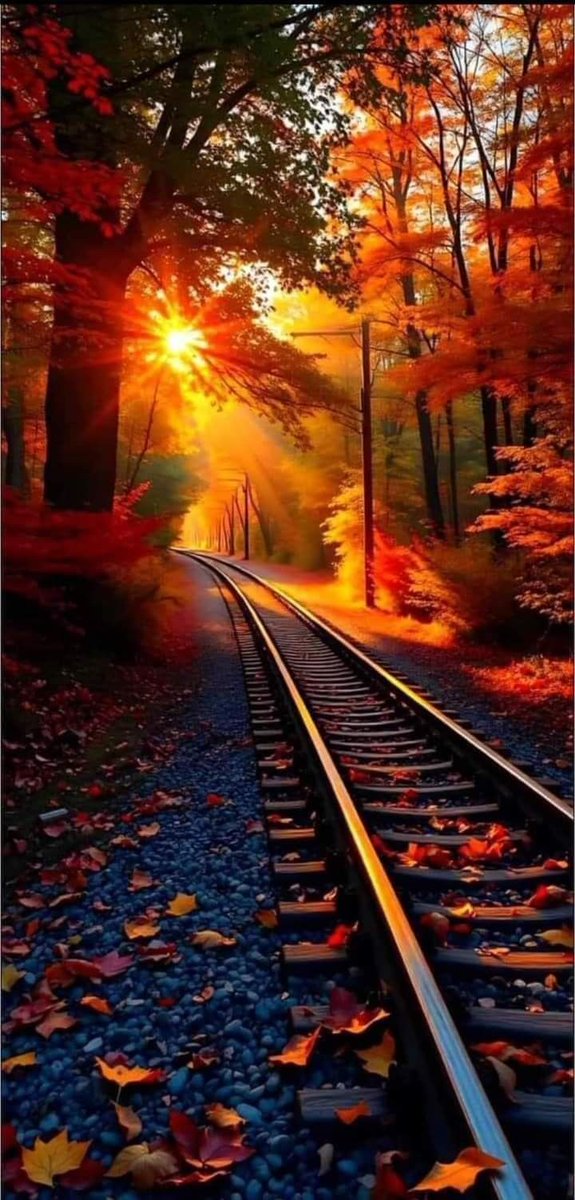 I will wish you a peaceful afternoon ❤️

#Autumn
#autumncolors
#NaturePhotography