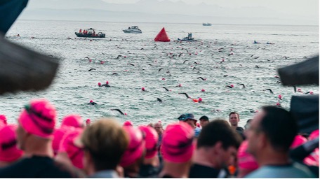 HelloGardenRoute tweet media