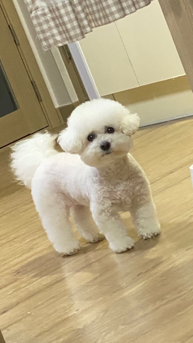 251019 Burdol Instagram #Burdol #버돌 #卢泰允 #노태윤

거의 20일 만이야 ,,,,,,,,,,,,아리 안뇽🐾