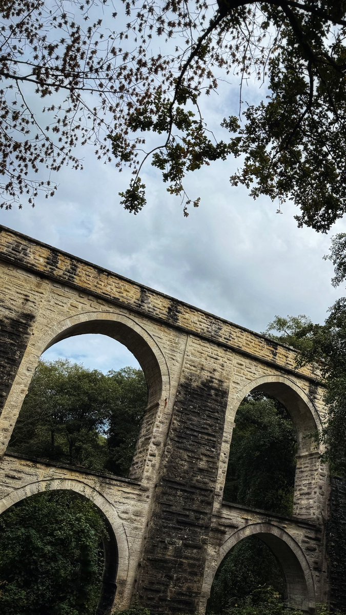 İsmail Terzi tweet media