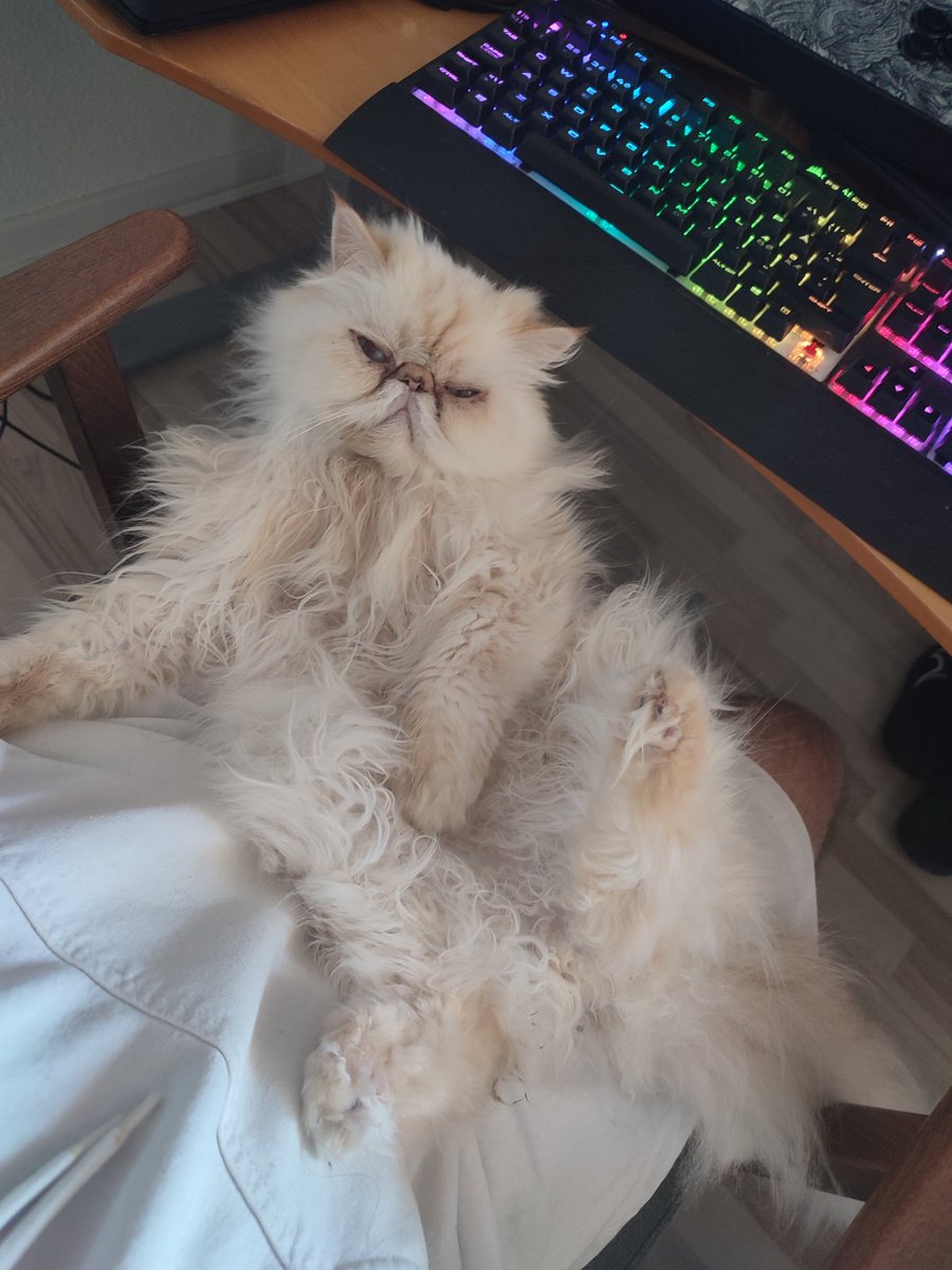 flippy_o tweet media