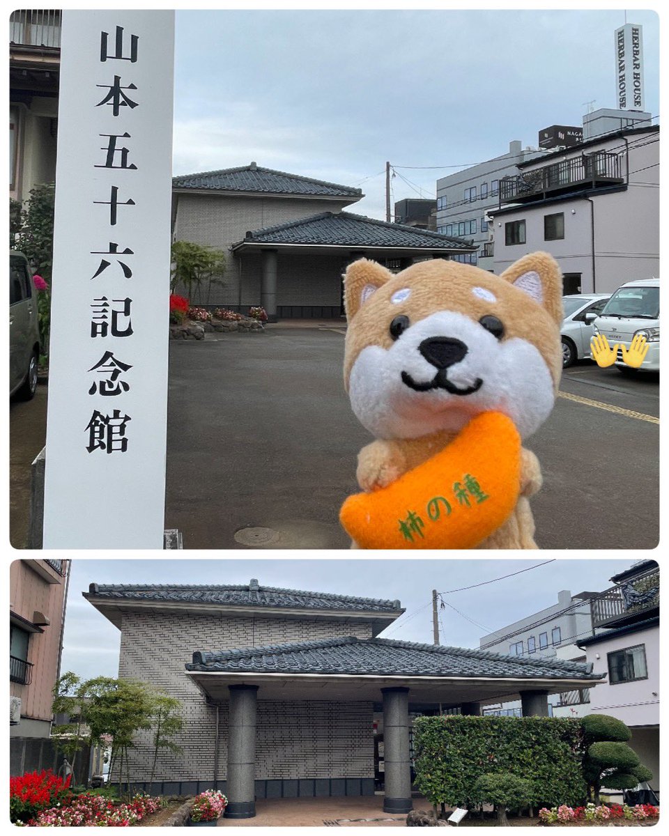 山本五十六 山本五十六 原敢二郎宛書簡/Web書画ミュージアム/長良川画廊