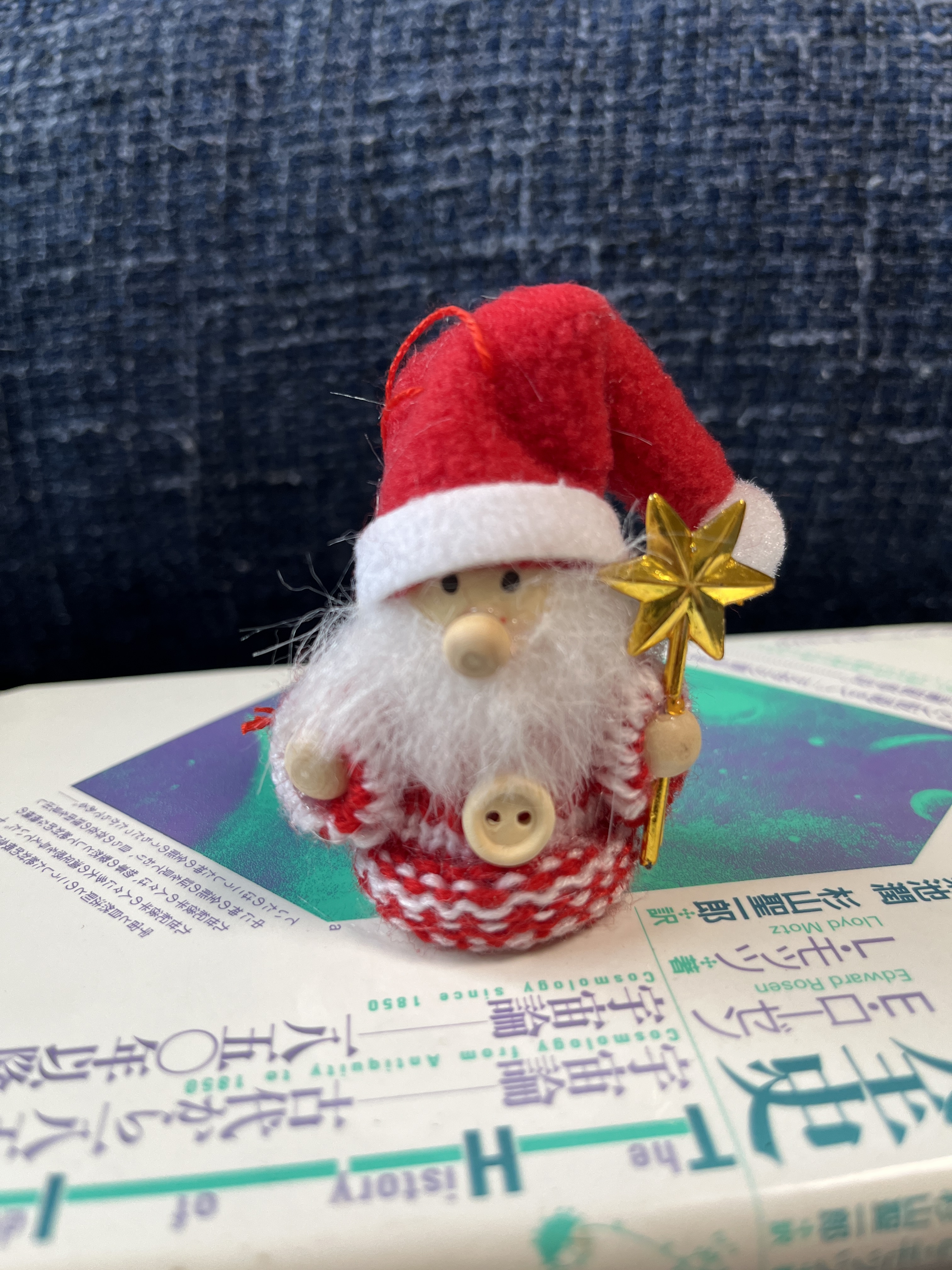 本のマルシェで買ったサンタさん - Search / X