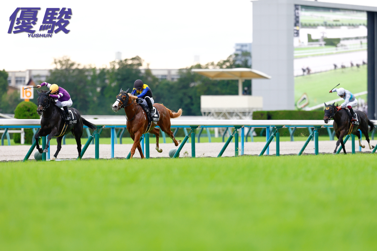 YUSHUN DVD Collection 競馬４８枚 YUSHUN DVD Collection 競馬48枚 - メルカリ