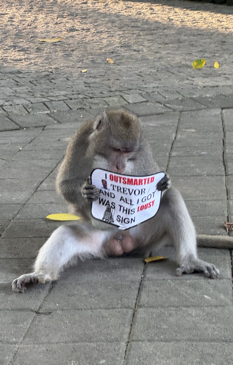 YC: Tell us about a time you hacked a non-computer system to your advantage.

Me: I laminated some silly signs to bring to Bali and taught the thieving monkeys an important lesson.