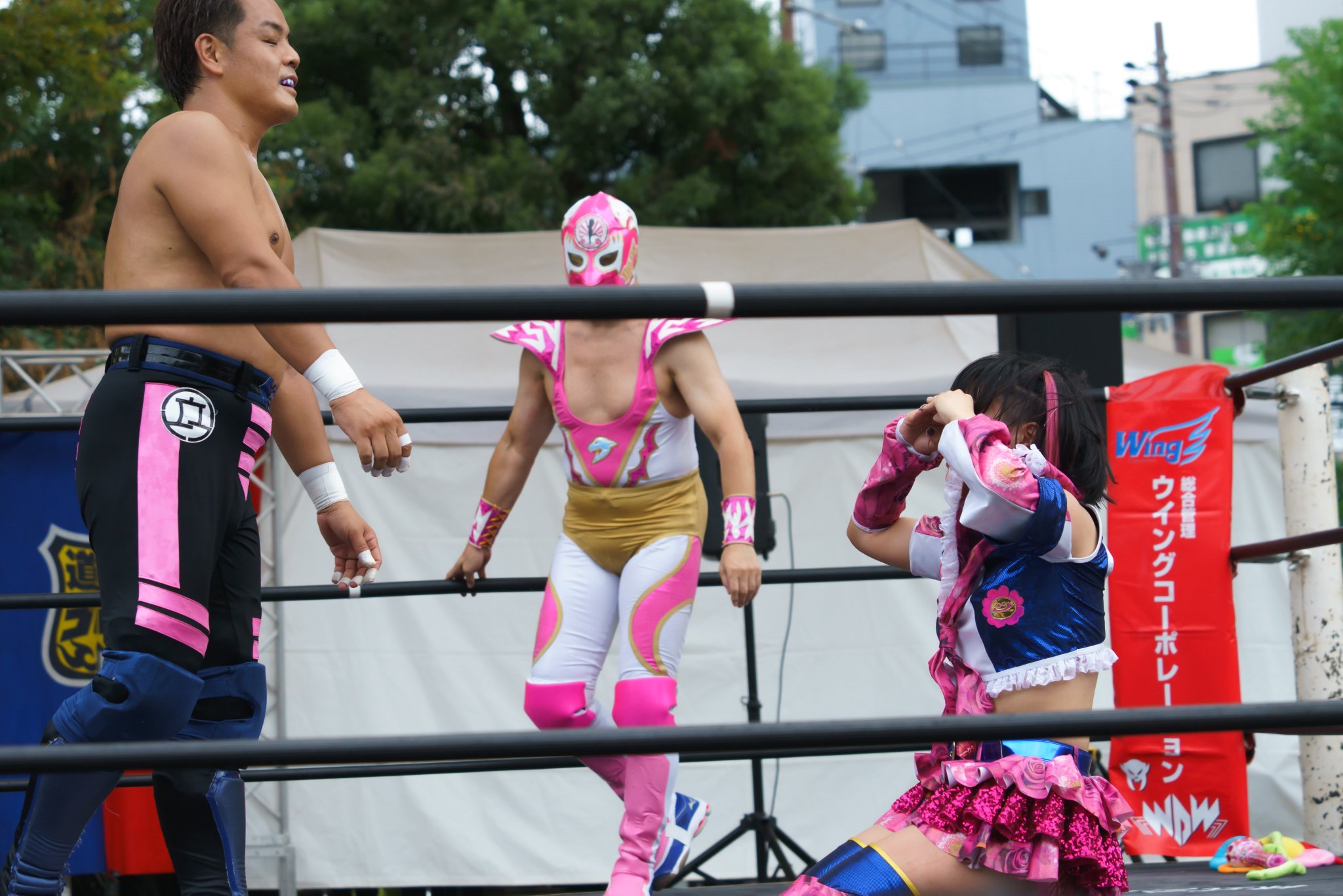 モンコレ 花園の歌姫 ペルソナ モリガン ブリガンディーネ 極稀