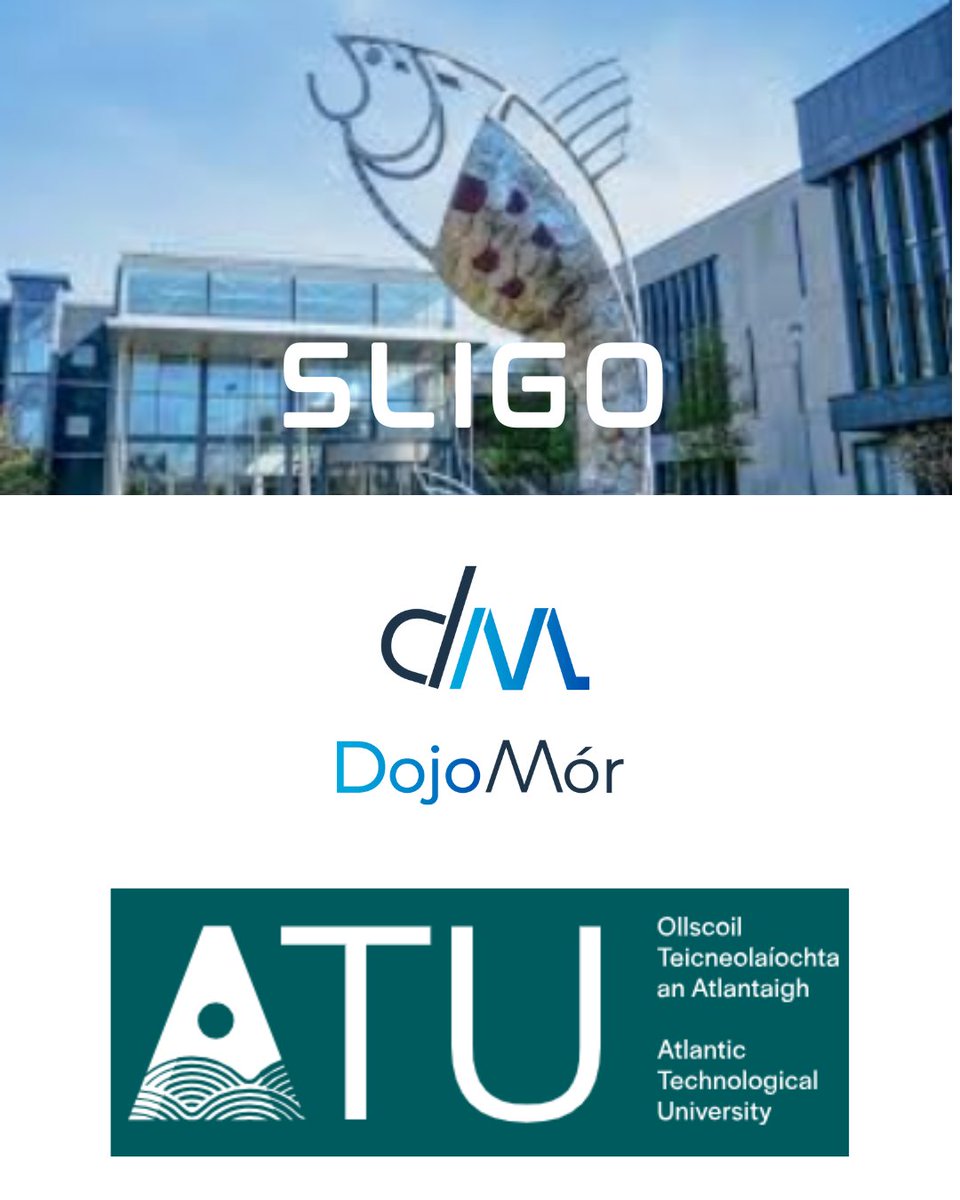 DojoMór 2025 tweet media