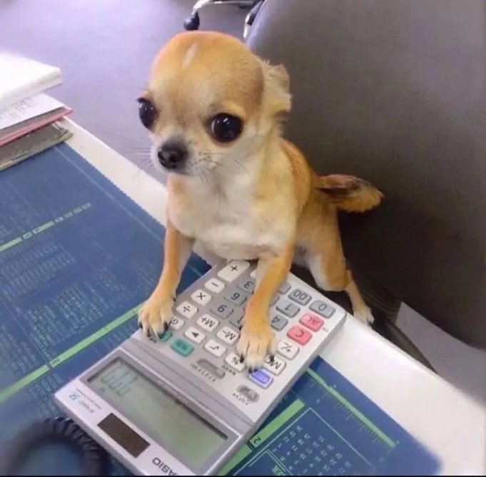 Pawes_and_pups's tweet image. I may have overspent 🤣
#dogs