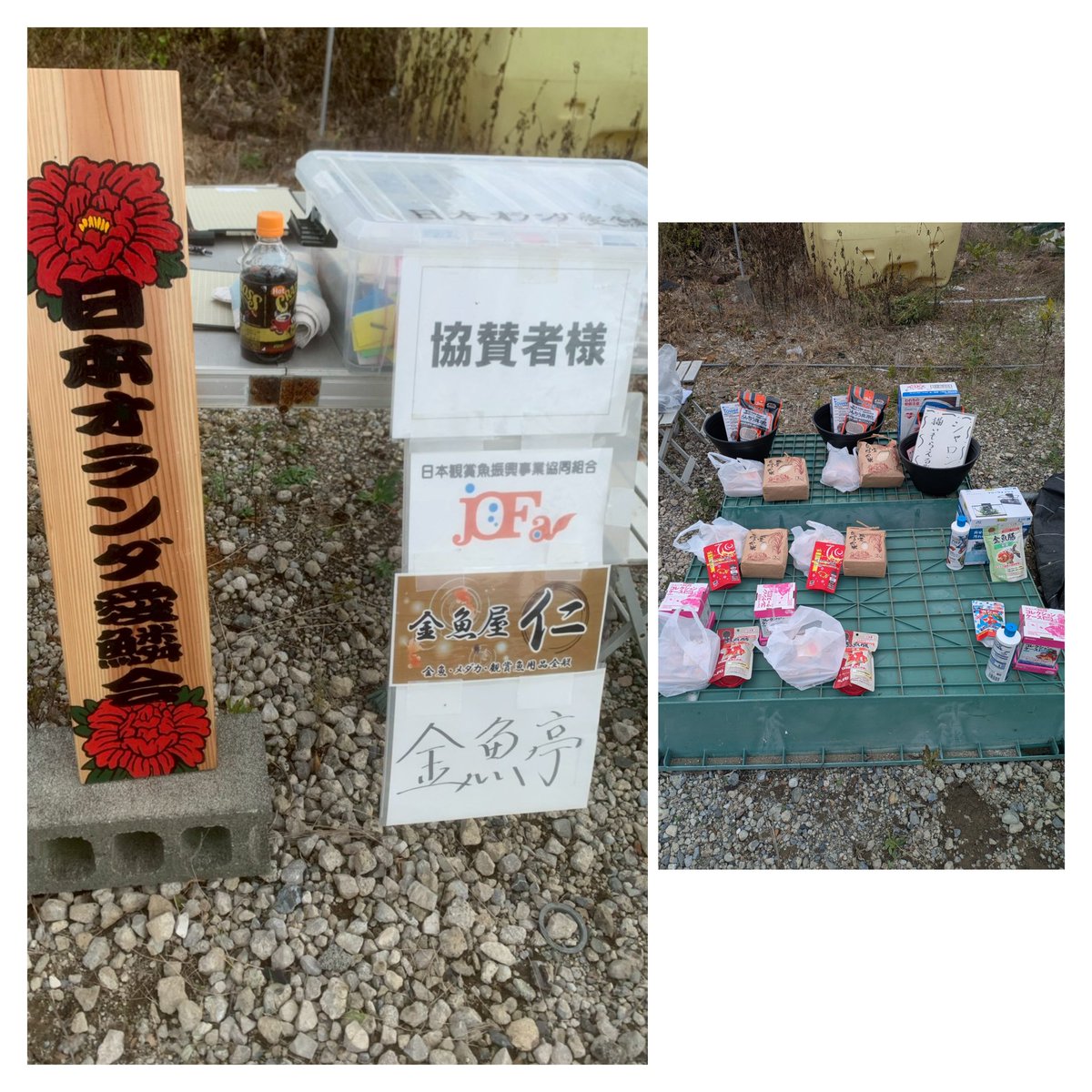 本日、１年の集大成である品評大会を無事開催することができました。
本年より日本観賞魚振興事業協同組合様より理事長賞を贈呈頂くことになりました。その格式に負けぬ魚を作っていけるよう一同精進していく所存です。
また、協賛いただきました金魚亭様、金魚屋仁様には心より御礼申し上げます🙇