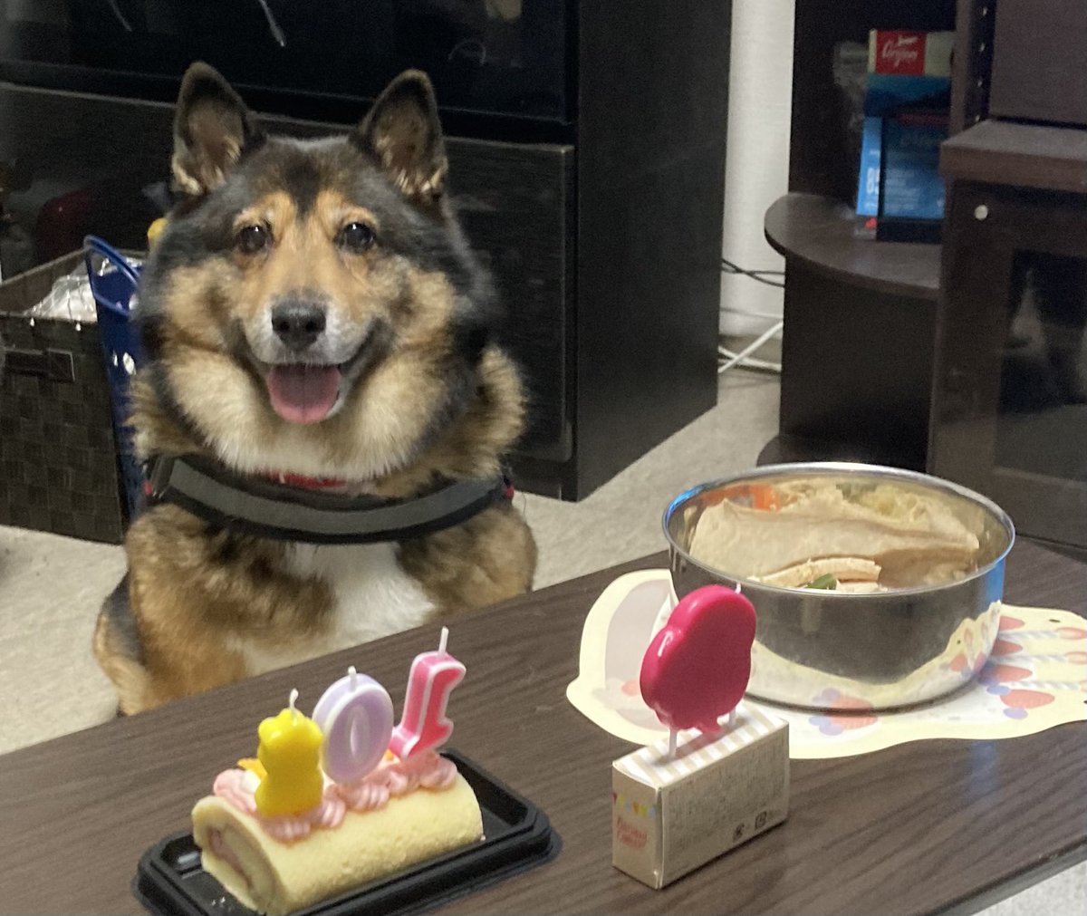 ⭐︎ちくわ⭐︎ 白ちくわ (@chikuwa050505) / Posts / X