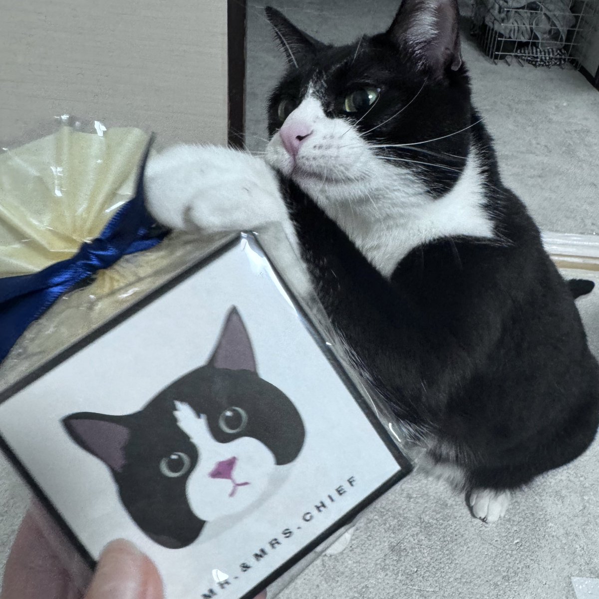 もへいページ もへい@10/19CLB東6ム48b (@moheisan) / Posts / X