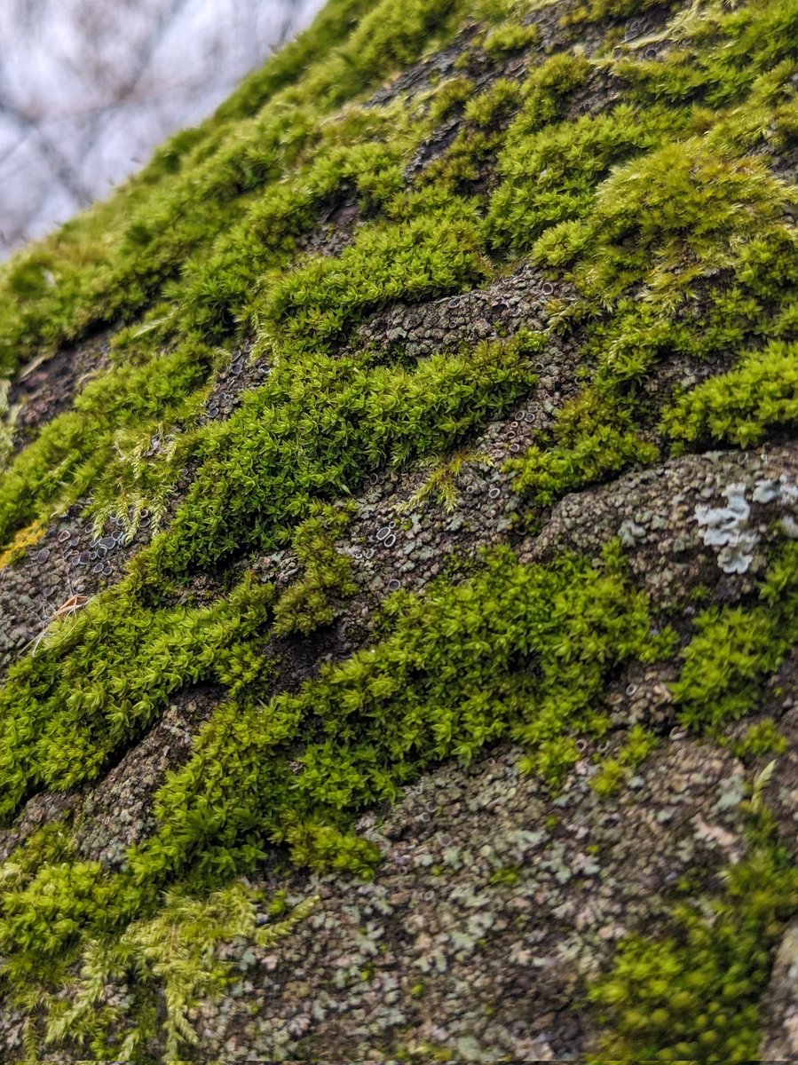 Eugene Pie tweet media