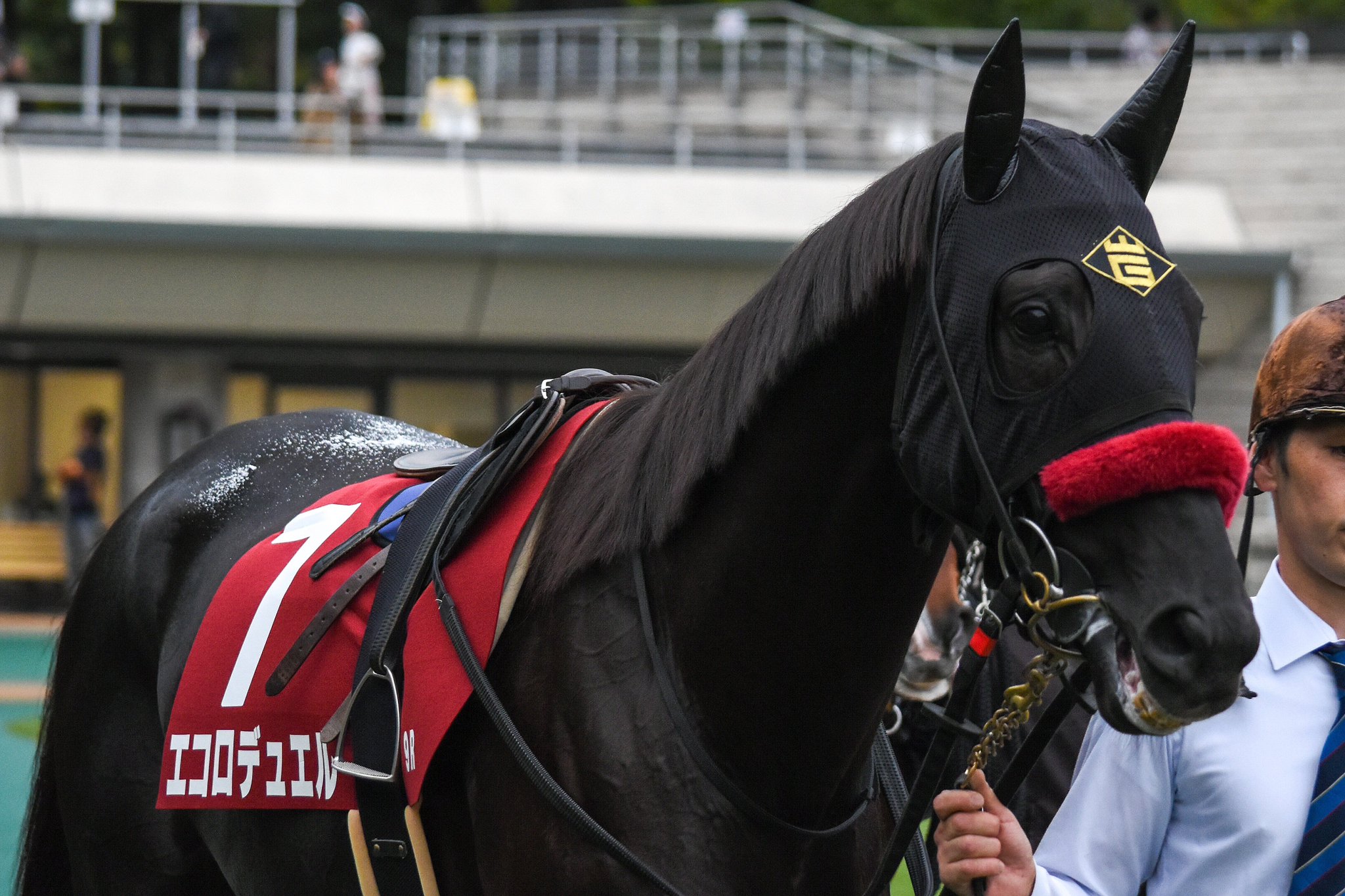 ウマキ様ご連絡ページ シンジ (@shinji0825) / Posts / X