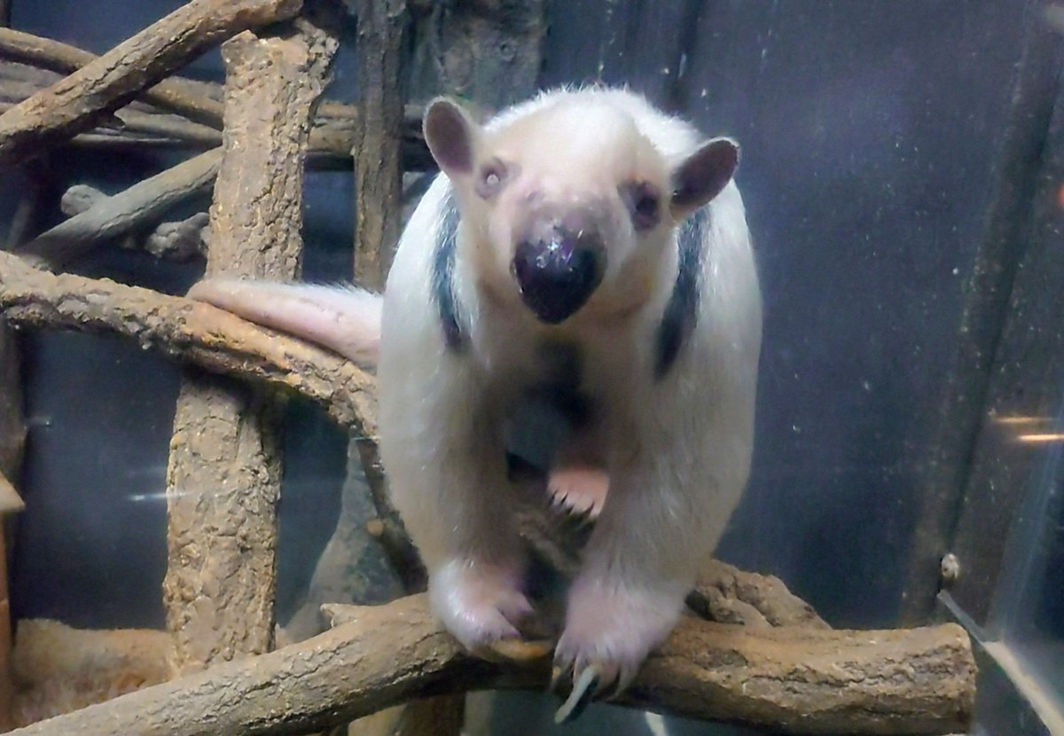 🇨🇦Sandra🇯🇵 on X