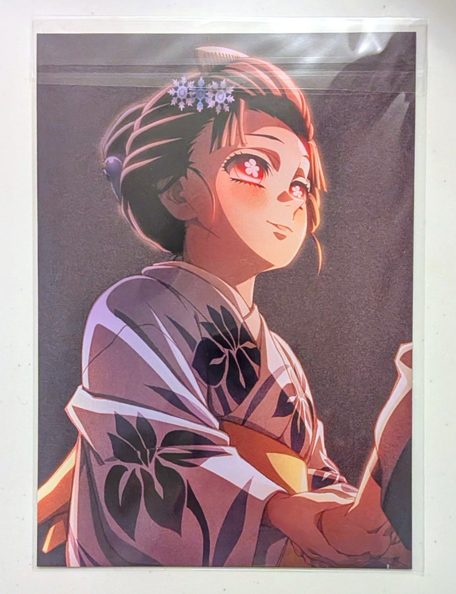 ガハマ D賞 胡蝶しのぶ&胡蝶カナエ,恋雪 F賞 恋雪&狛治2種 冬だとこう