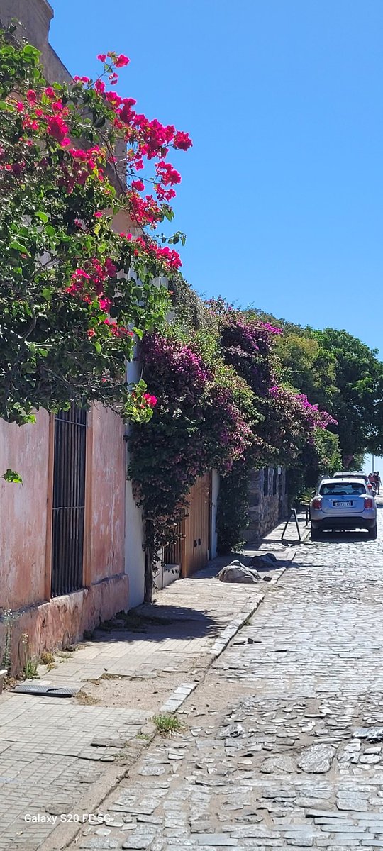 CIUDADANOJorgeCASTRO tweet media