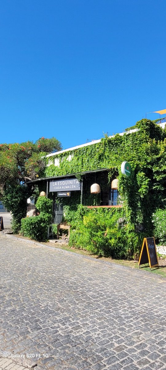 CIUDADANOJorgeCASTRO tweet media