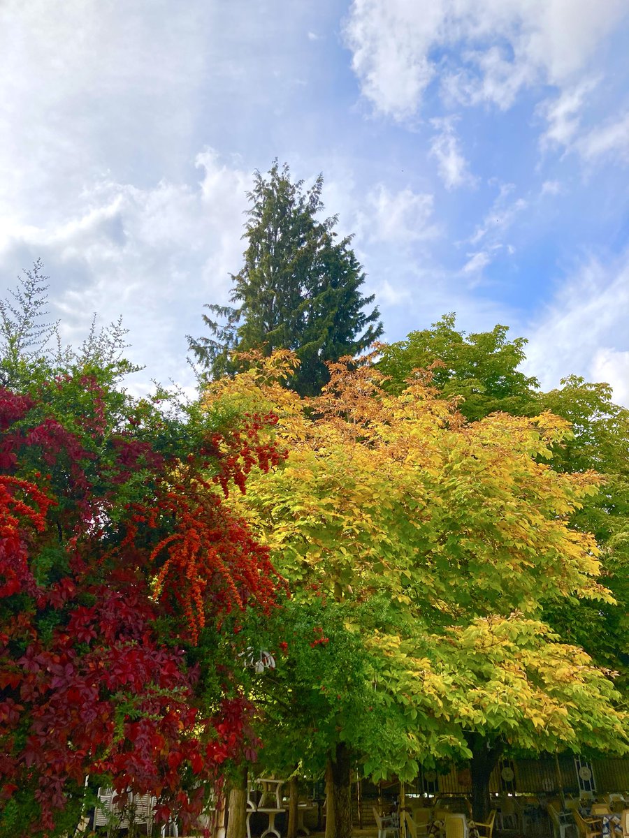 gazi (@baykaler) on Twitter photo 