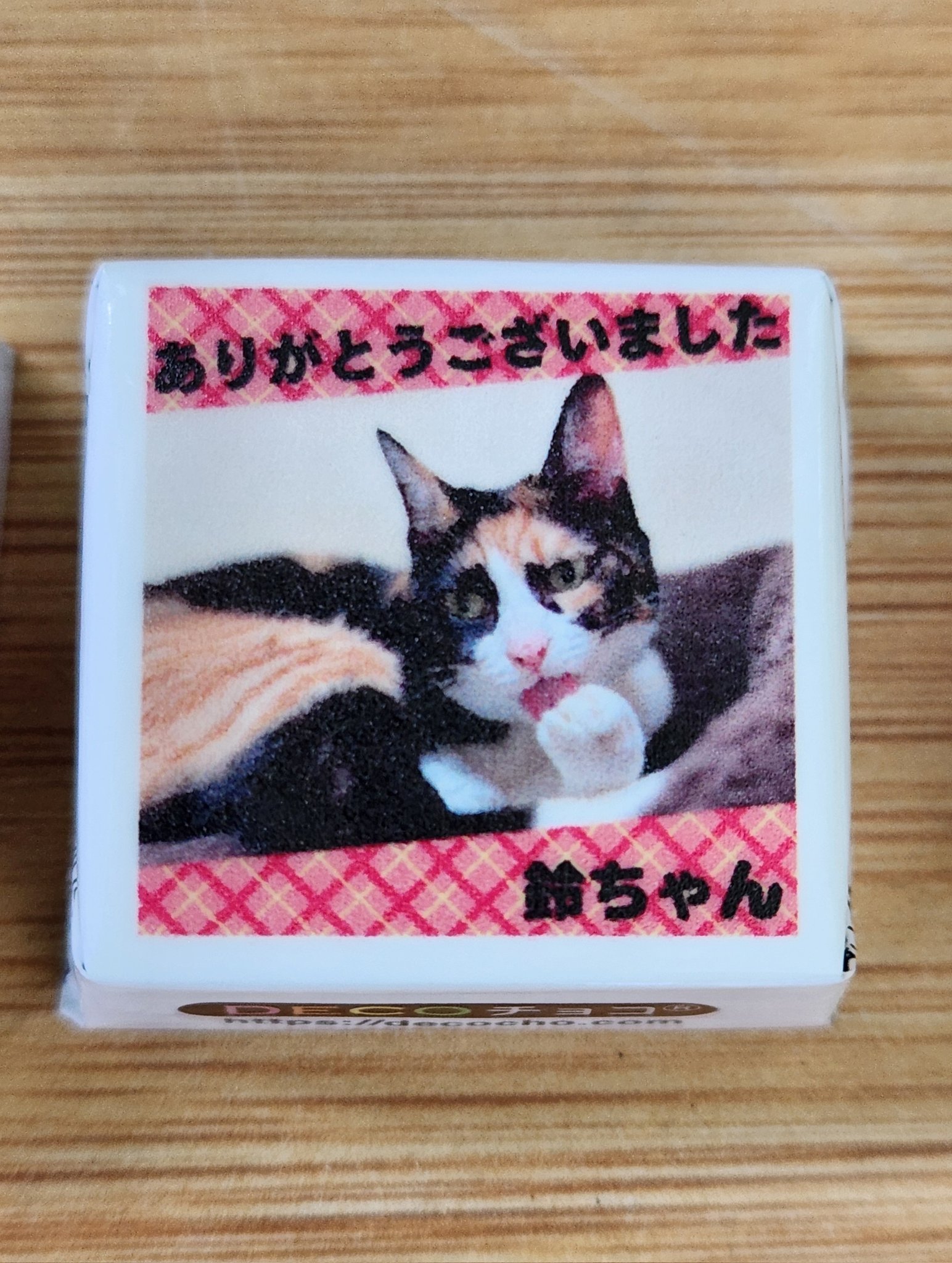 さやま猫の会 on X: 