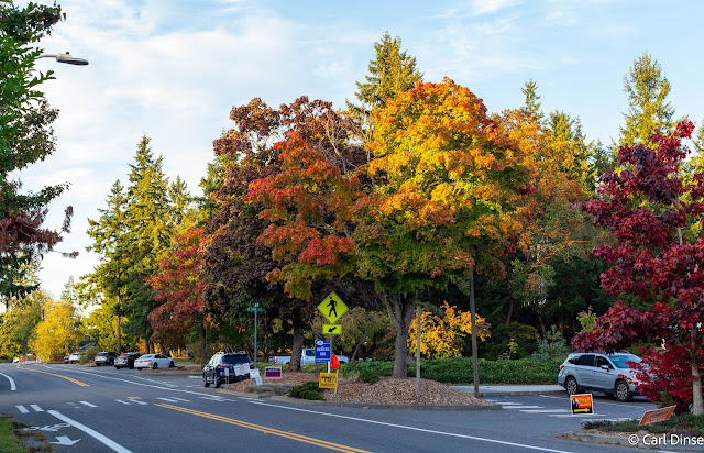 Shorelinearea's tweet image. WeatherWatcher: Stormy season arrives, last week's highlights
shorelineareanews.com/2025/10/weathe…