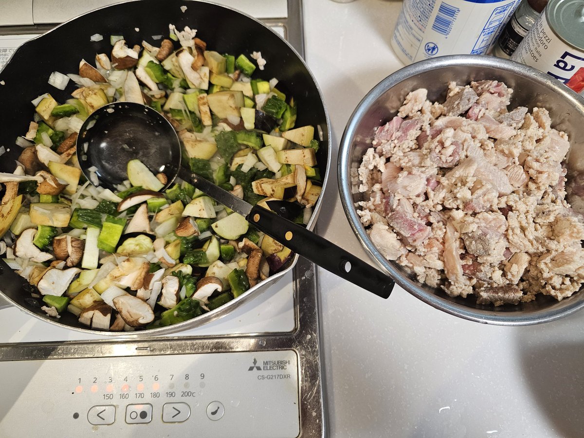 熱気バサラ　ガレージキット マクロス7」より「VF-19改ファイヤーバルキリー」と「熱気バサラ