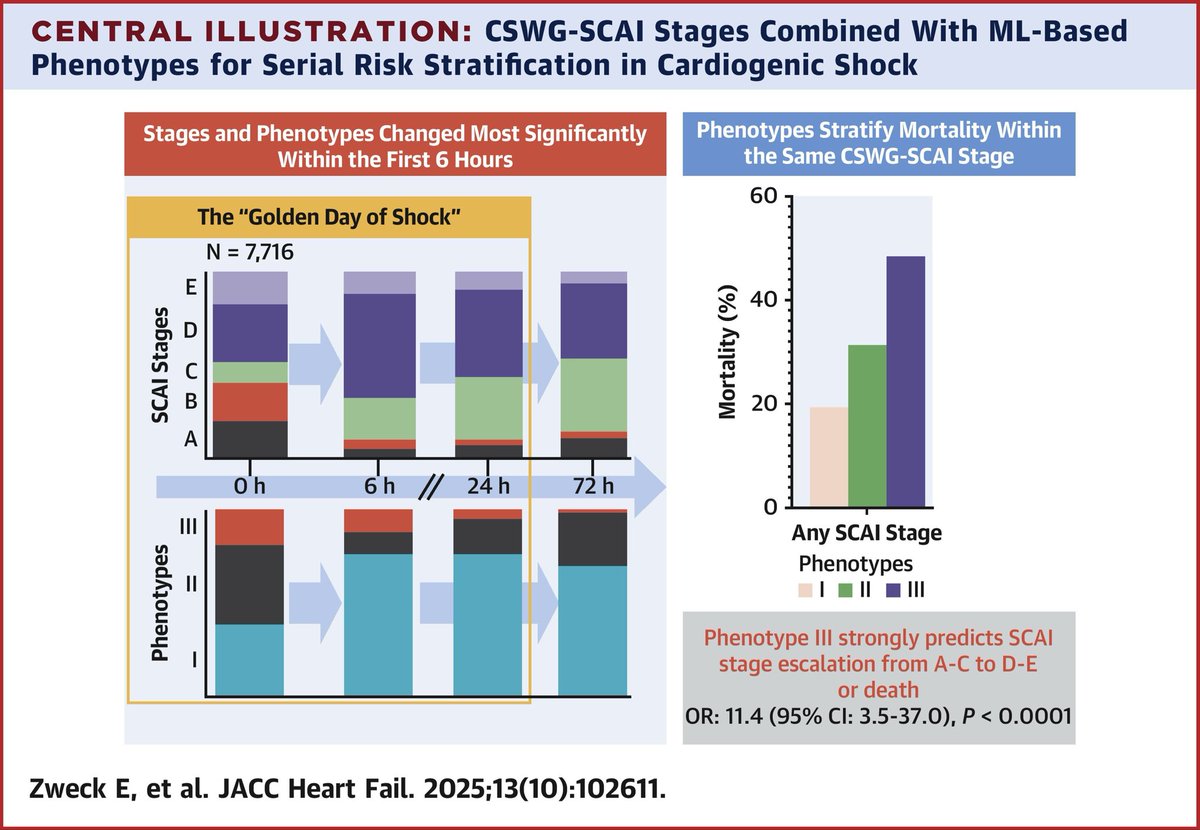 New🔥 #CSWG study: 🔑 messages: 
1) most changes in clinical trajectories in CS patients occur within the first 6h of admission already (#goldenshift) ⏱️
2) phenotyping and SCAI staging can be combined to improve risk stratification!🎯
sciencedirect.com/science/articl…