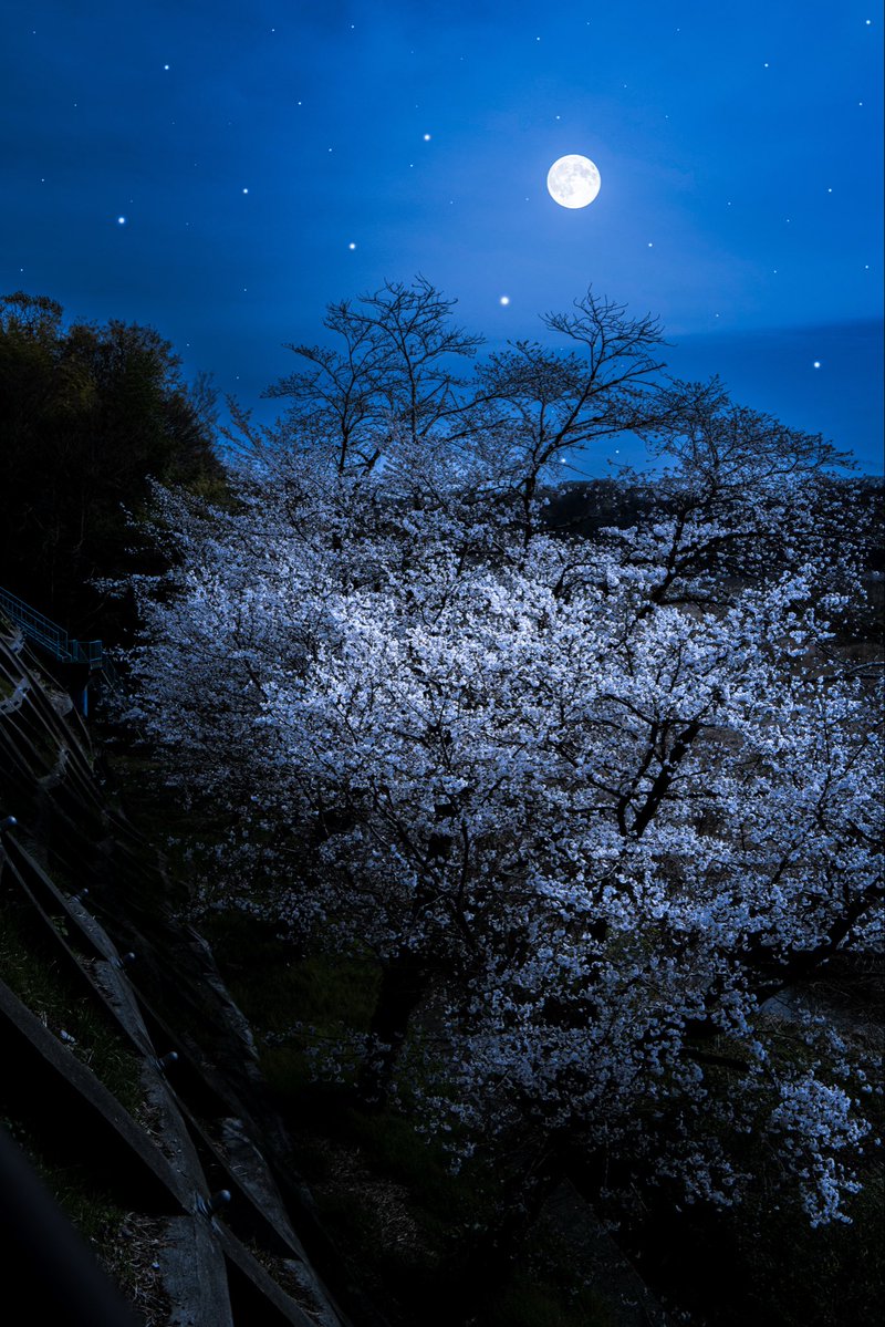 時間が流れるのは早いな。