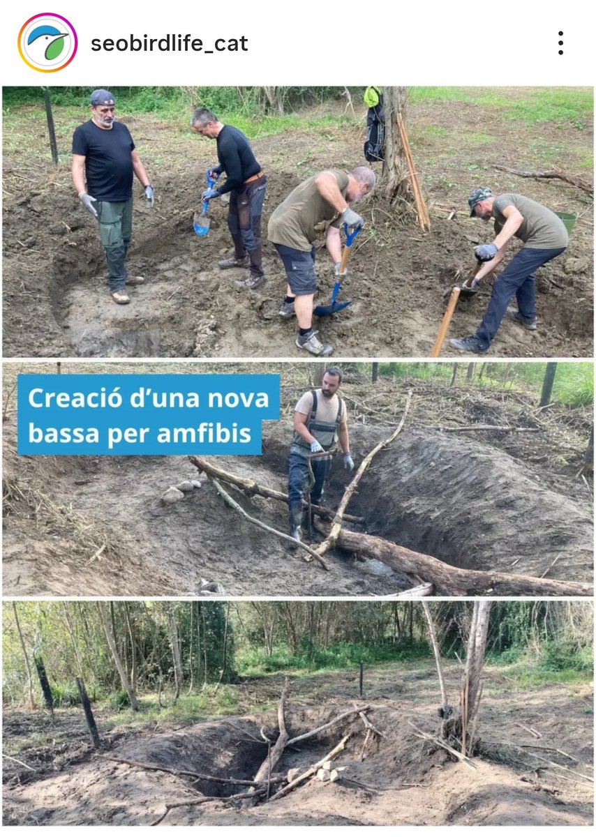 .
Brutal !!!

LES LLOBATERES

👏👏👏👏👏
.