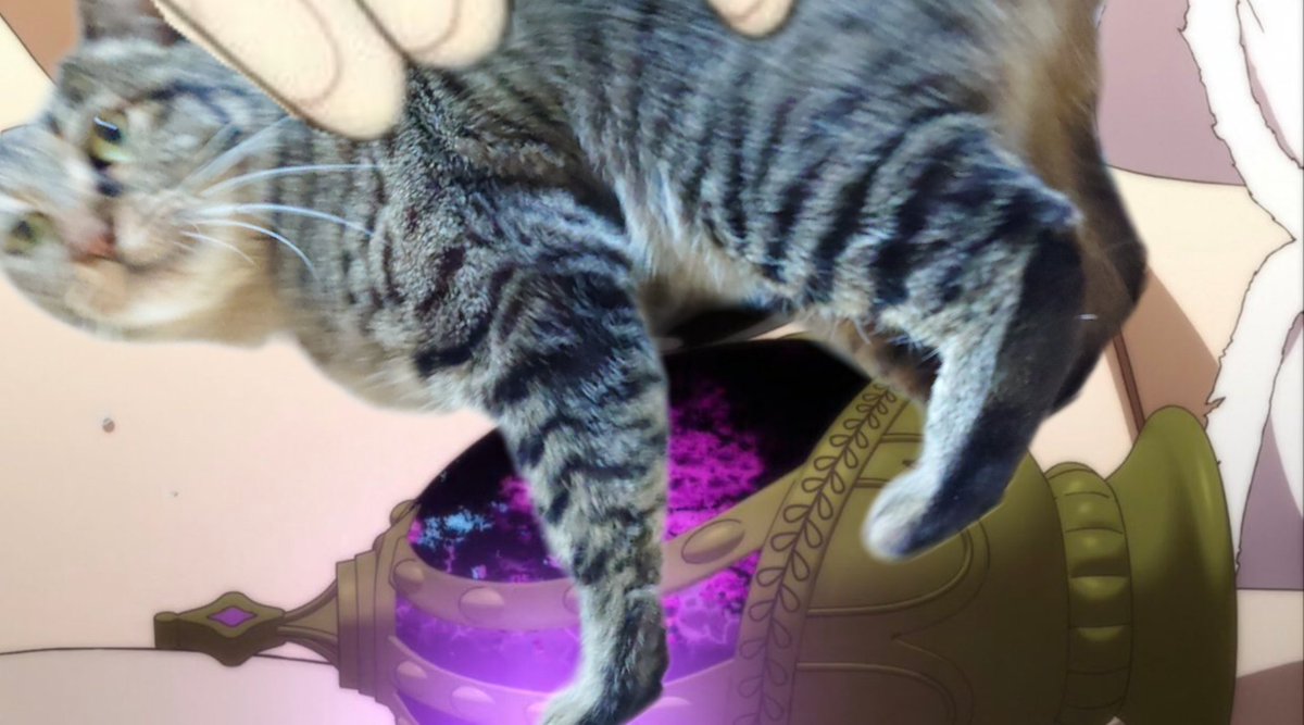 Cat_symfony's tweet image. ごまめのおかげでいきてる
ありがとう