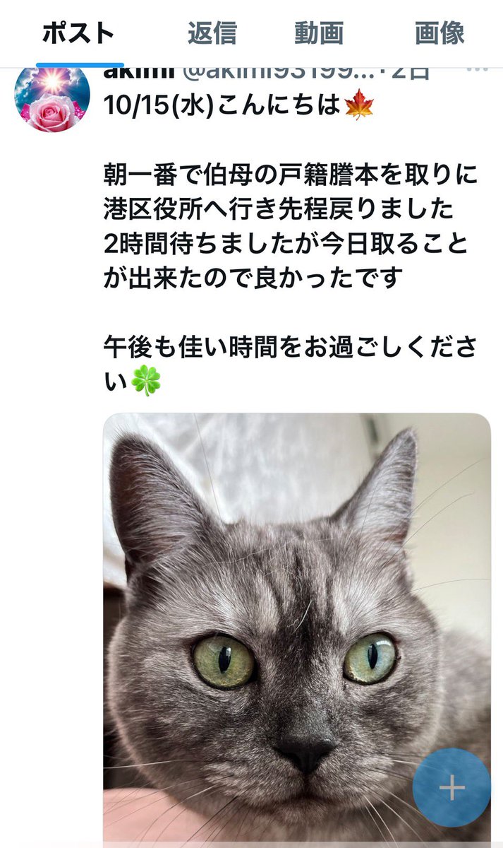 再度通報拡散のご協力をお願いします

3ポストなりすまし被害に遭っています😿
昨夜一時制限掛かったのですが今朝解除されていました😿
1人でも多くの方にご協力して頂けると幸いです
よろしくお願いいたします

なりすまし垢
akimi 
<a href="/akimi9319939644/">akimi</a> 

#拡散希望RPご協力お願い致します 
#なりすまし