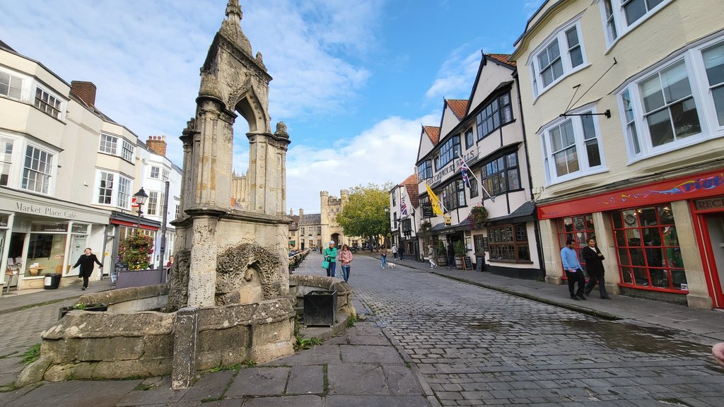 🐚 Shelley🎙️ tweet media