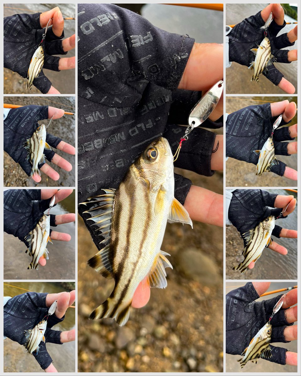 チキュー (@chikyu523) / Posts / X