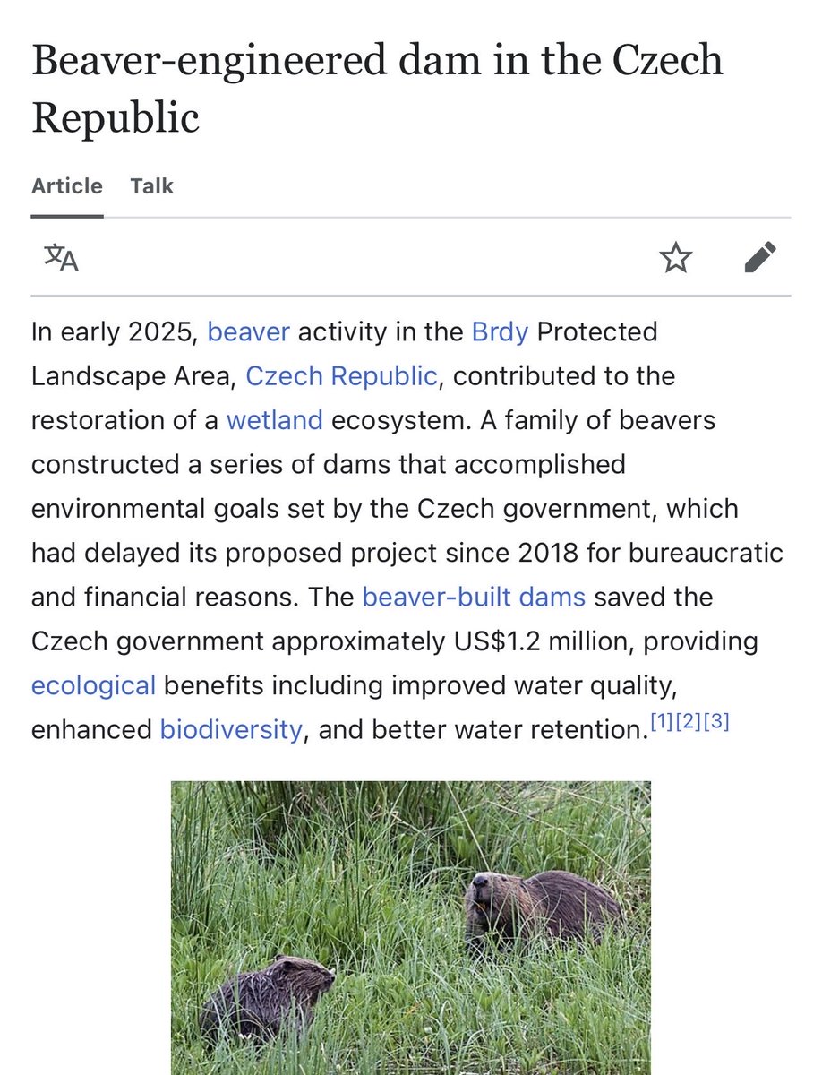Amazing story: the Czech government spent six years planning a series of dams.

A family of beavers constructed the dams for free, in 1-2 says, in the same locations that human picked, accomplishing the goals set by the Czech government and saving humans $1.2 million