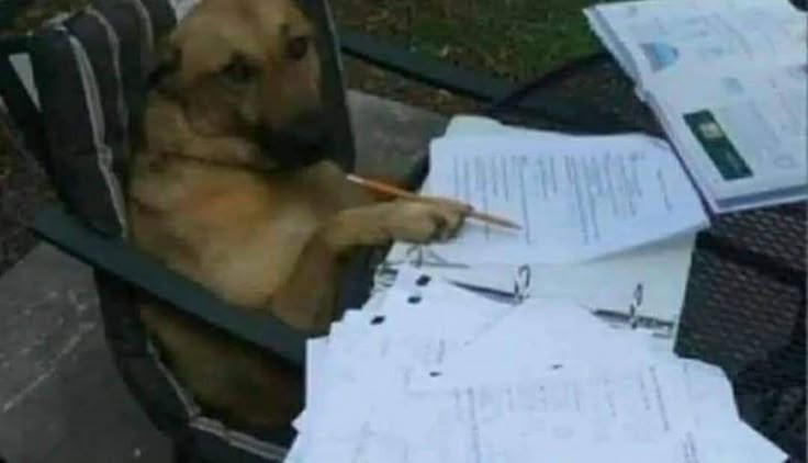 Annen okurken boyle gozukuyordu yavrum