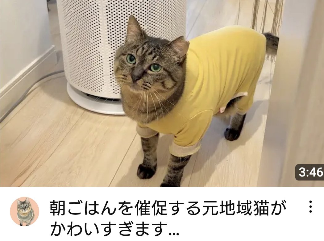 もちまる日記反対派！ on X