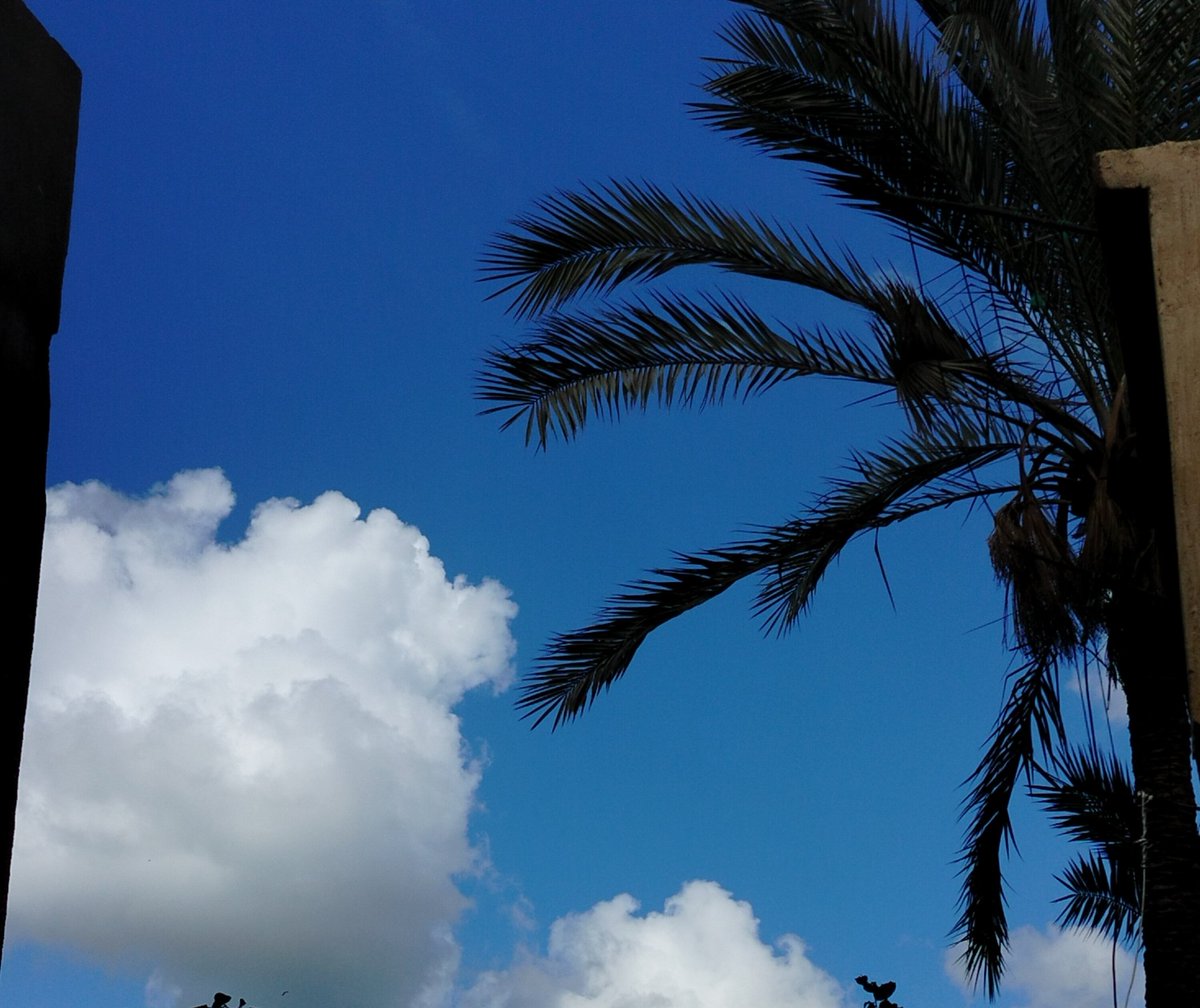 _7__idk's tweet photo. تصويري والله https://t.co/yBpZoMzIGi