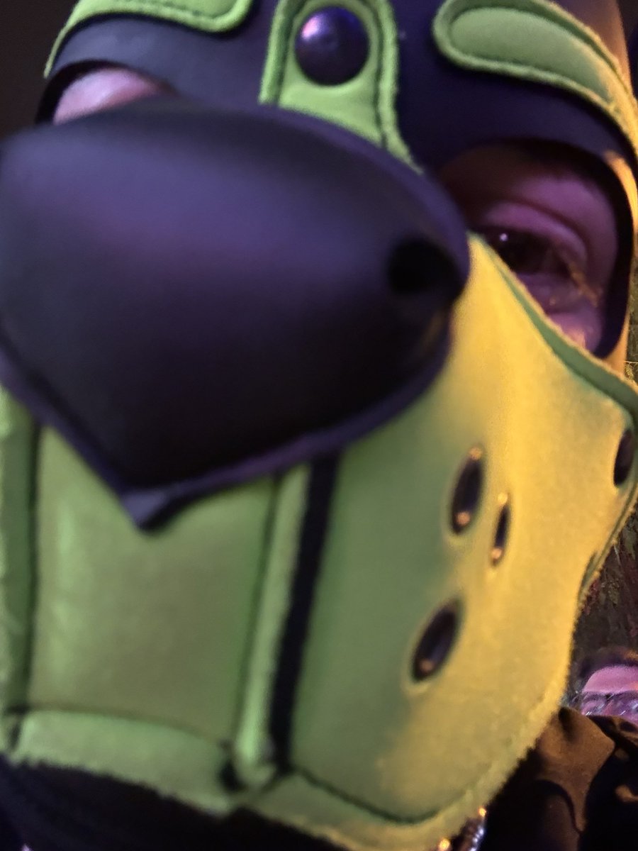 Another very fun filled adventure to GC. Just about to do the zoomies home. To all the friends who came, it’s been awesome. 
To my boyfriend &amp; adventure partner in crime, thank you for everything and making this trip another one to remember 💚🧡 <a href="/PupJaffa/">Pup Jaffa</a>