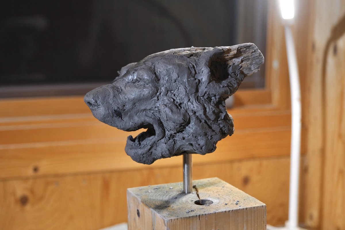 takesculp's tweet photo. Wip
獅子をイメージしています。
もともとデフォルメされたモチーフなので、
元となる動物も参考にしながら作っています。 https://t.co/HSe8yGv3n3