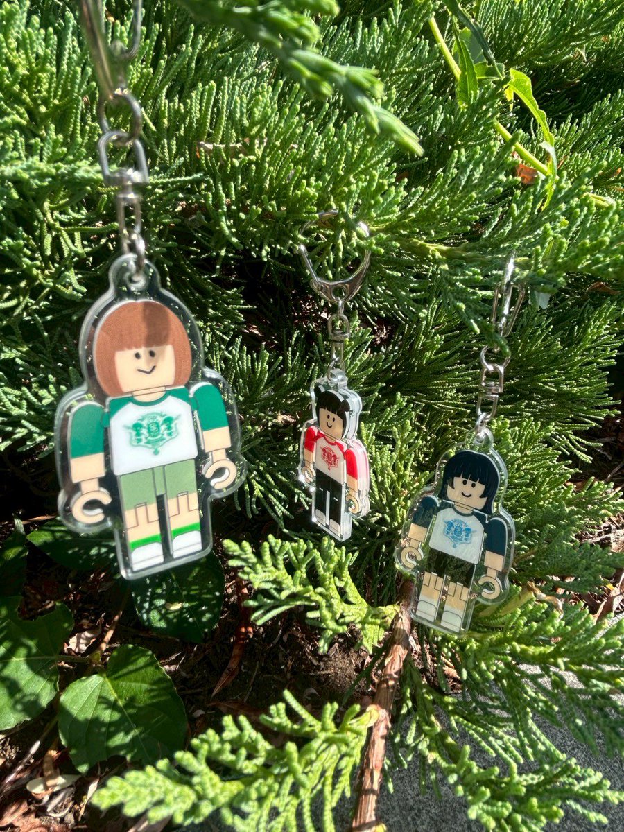 サバシスター　セトリ サバシスター (@saba_sister) / X