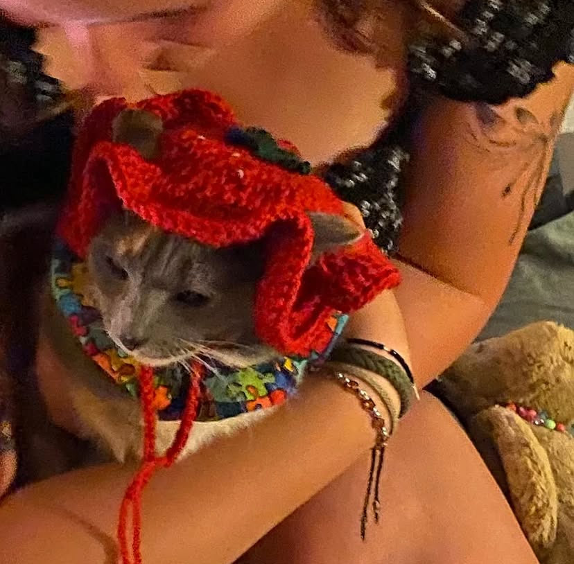 marikithe's tweet image. mon bb c les mêmes