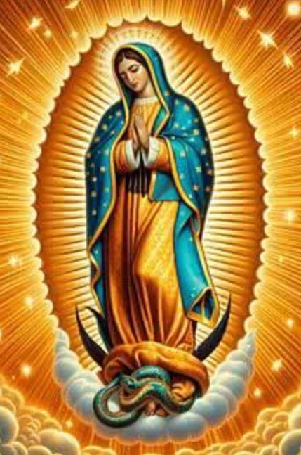 OscarLRA1981's tweet image. ✝️ Dios te salve, María,
llena eres de gracia;
el Señor es contigo.
Bendita Tú eres
entre todas las mujeres,
y bendito es el fruto de tu vientre, Jesús.
Santa María, Madre de Dios,
ruega por nosotros, pecadores,
ahora y en la hora de nuestra muerte. Amén 🙏