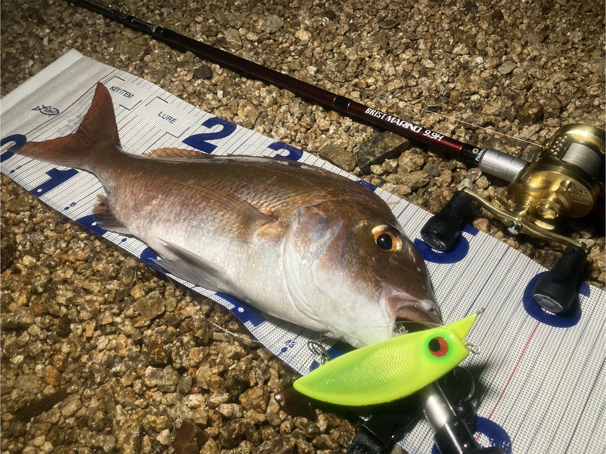 Ridgeline official (@ridgeline_tw) / Posts / X