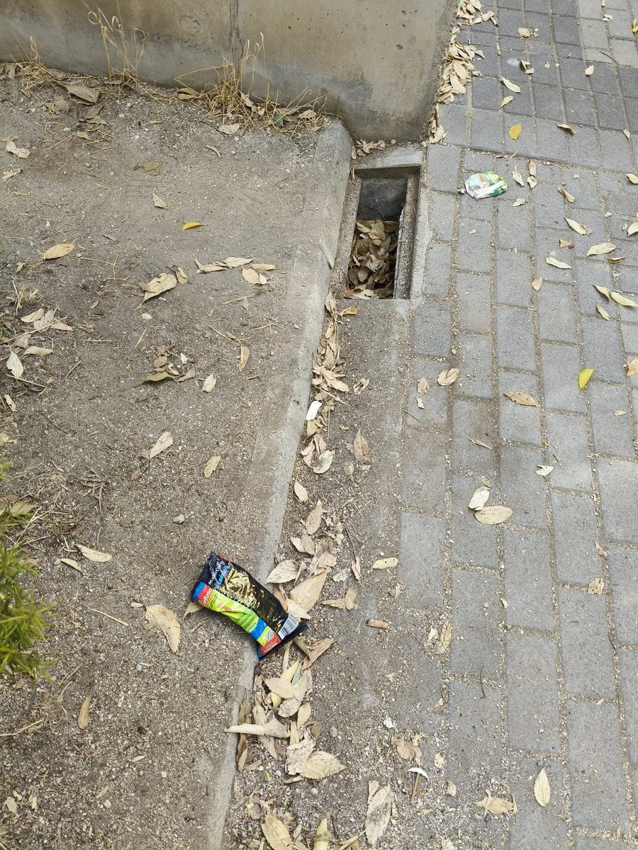 jm_casasola's tweet photo. Aquí juegan nuestros hijos todos los fines de semana. Falta civismo, falta limpieza, falta mantenimiento, falta higiene, falta seguridad. Parque Adolfo Suárez. @AytovaldemoroEs @ppvaldemoro @PSOEValdemoro @Vox_Valdemoro @Masmadridvaldemoro @ciudadanosporvaldemoro @MMValdemoro https://t.co/OQtsmc1WH4