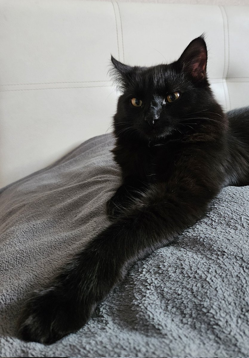 Моя наглая морда🤗  My cheeky face😊