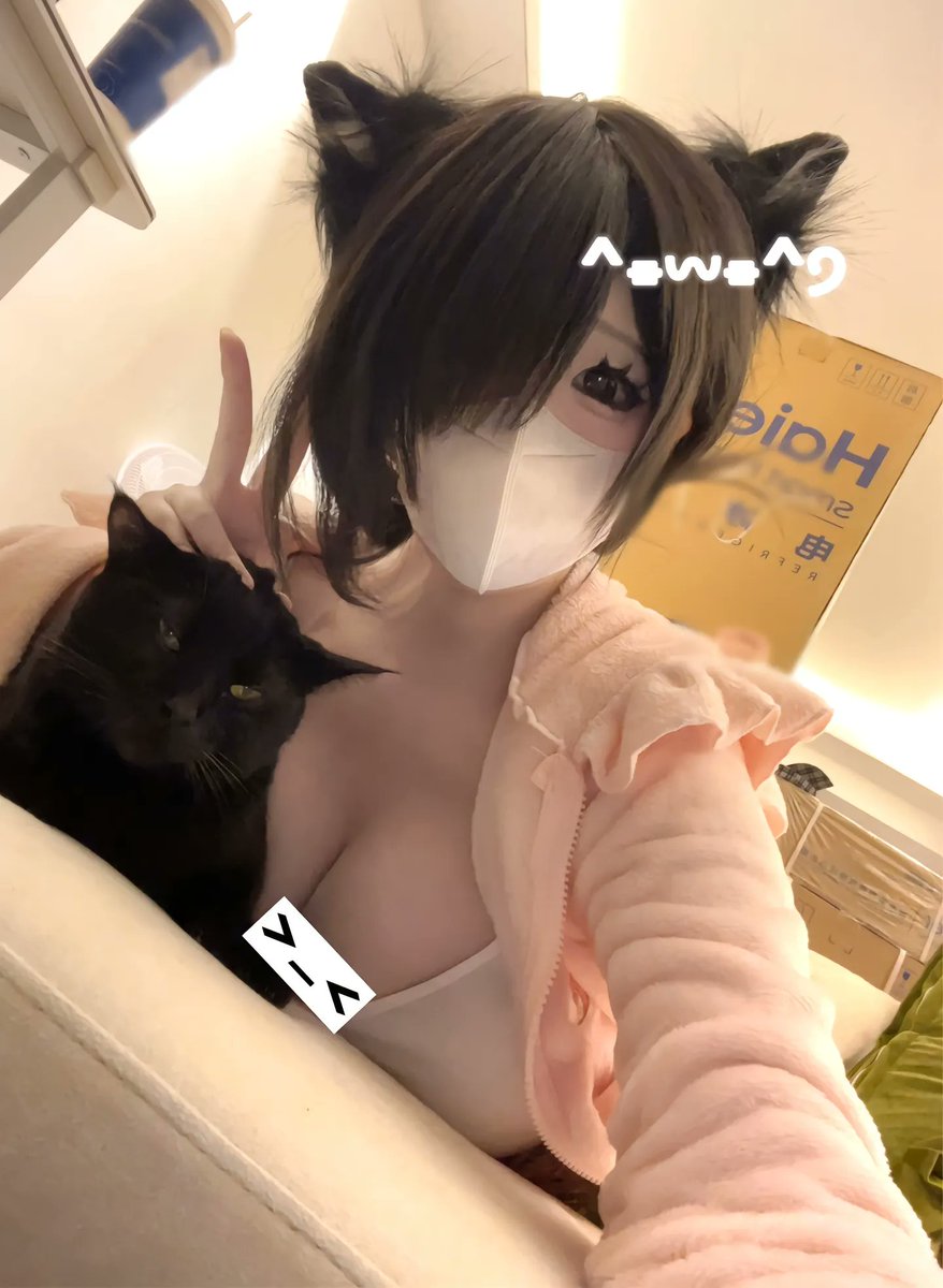 小麦喵 tweet media