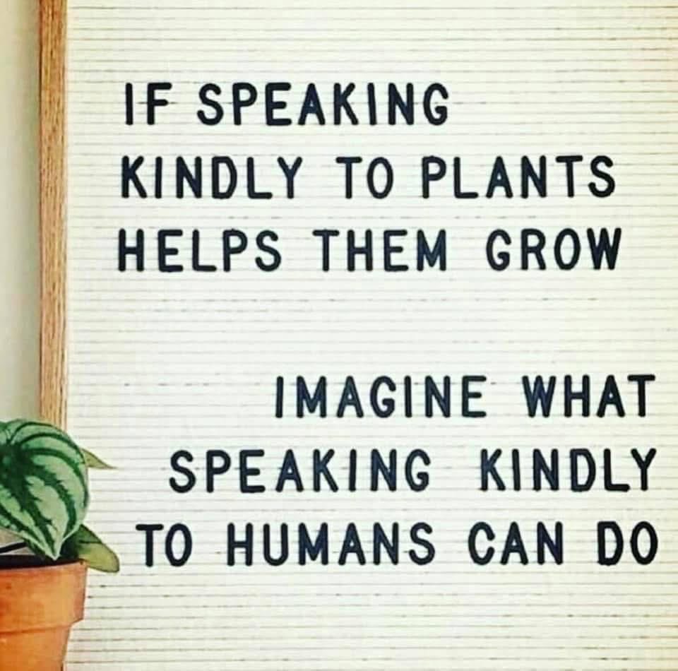 Father Jim Sichko tweet media