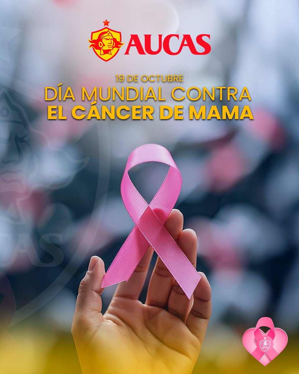 🎀 Nos unimos al Día Mundial del Cáncer de Mama.

Recuerda que la detección temprana puede salvar vidas y que ninguna lucha se libra sola.

Acompañamos con fortaleza, empatía y amor a todas las mujeres que siguen adelante con valentía. Hoy #JugamosPorUstedes 💗

#SomosAucas