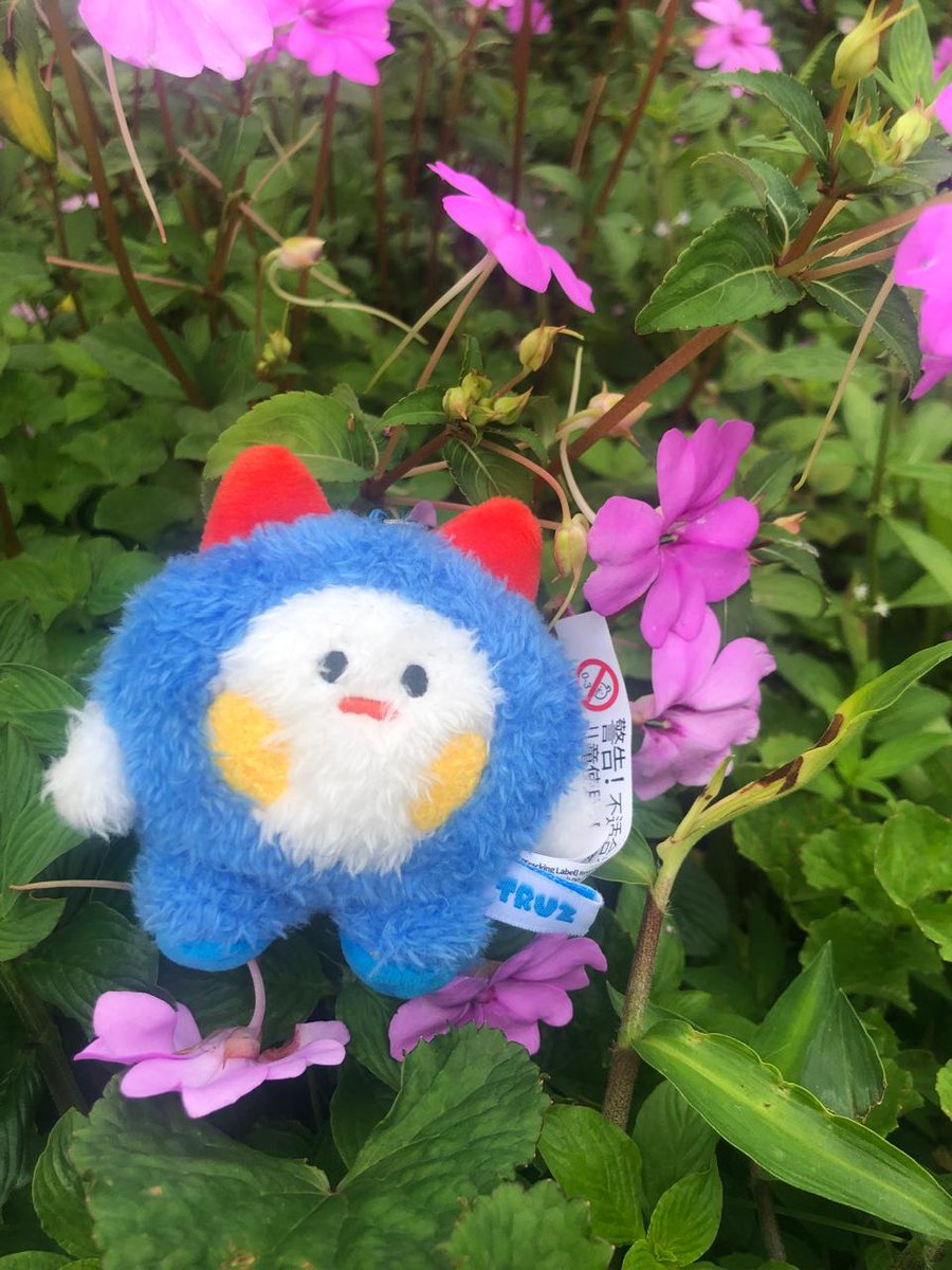 mciserable's tweet image. menyatu dengan alam 💕